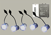 �ǡ��饤��7